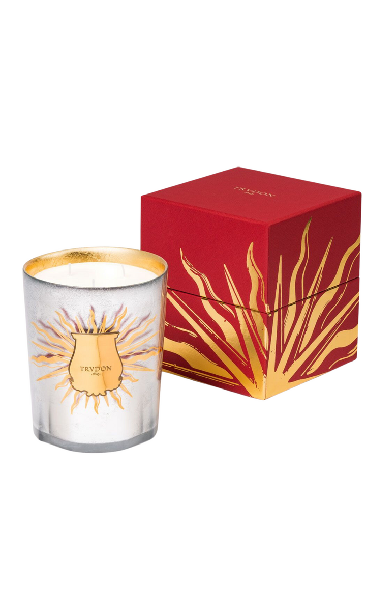 CIRE TRUDON 2023 Altaïr Christmas Candle 800g AMARA HOME