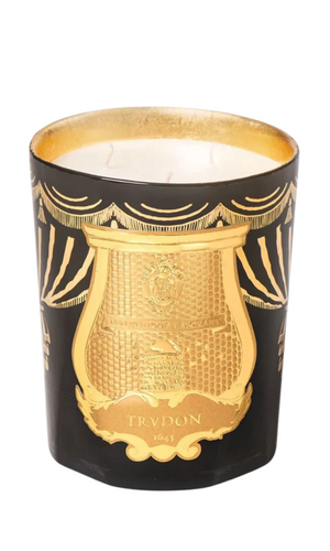 CIRE TRUDON 2024 Holiday Fir Candle 800g