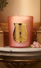 Load image into Gallery viewer, CIRE TRUDON Tuileries Candle
