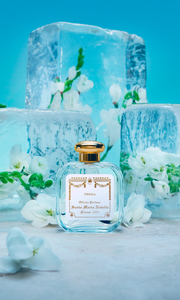 SANTA MARIA NOVELLA Fresia Eau de Cologne at Amara Home